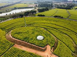 巩义市政绿化工程报价清单表格